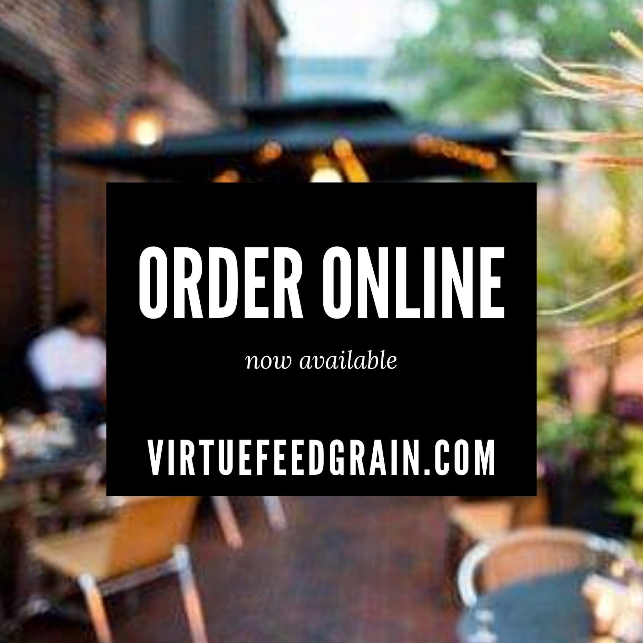 Gallery Virtue Feed & Grain